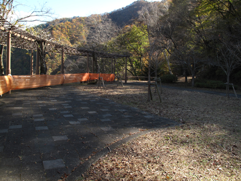 20171116hike (18)